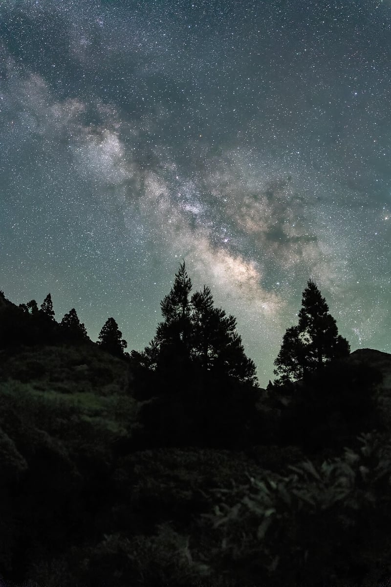 Stars in the Milky Way